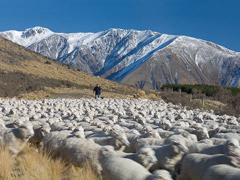 christchurch photographer, murray irwin, rural photography